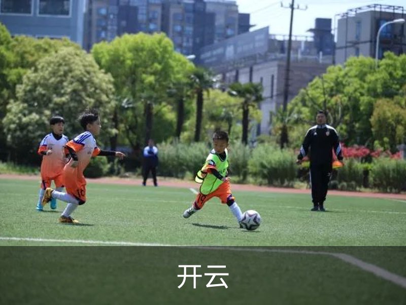 了解开云