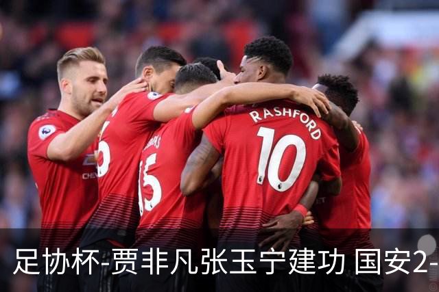 足协杯-贾非凡张玉宁建功 国安2-1大连可为晋级8强