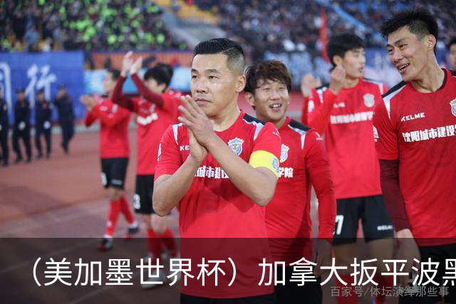 （美加墨世界杯）加拿大扳平波黑 获队史世界杯首分