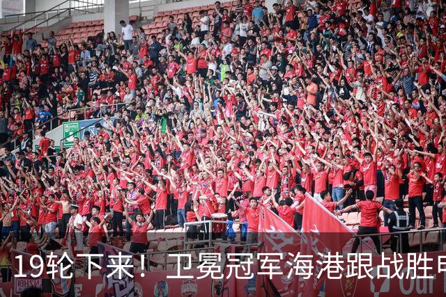 19轮下来！卫冕冠军海港跟战胜申花的天津 胜 平 负一模一样